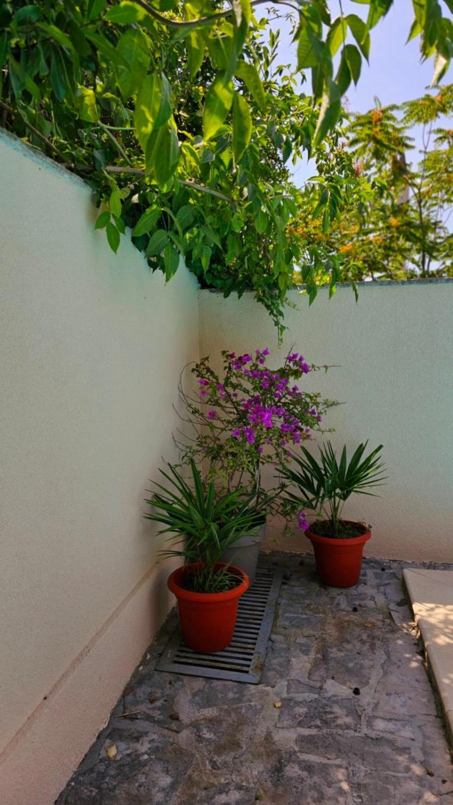 Lovely House With Swimming Pool Mostar Exteriér fotografie